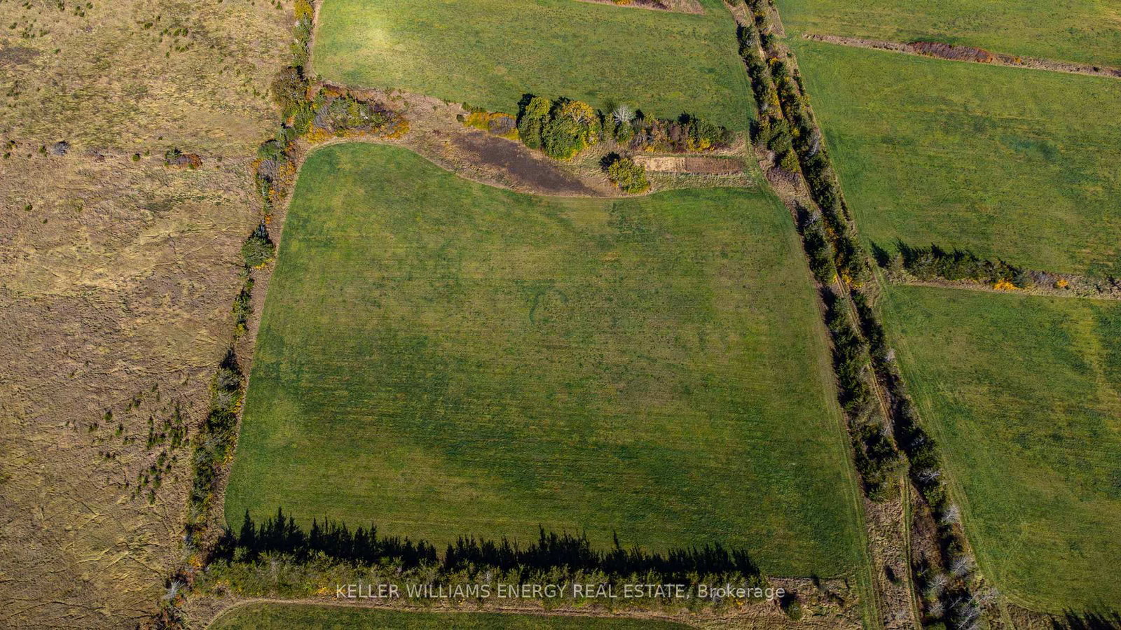 Listing Image 34
