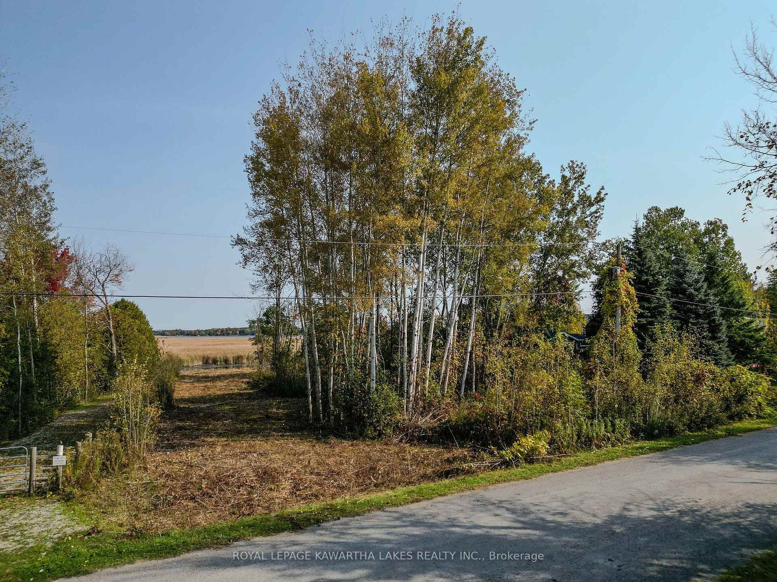 Listing Image 10