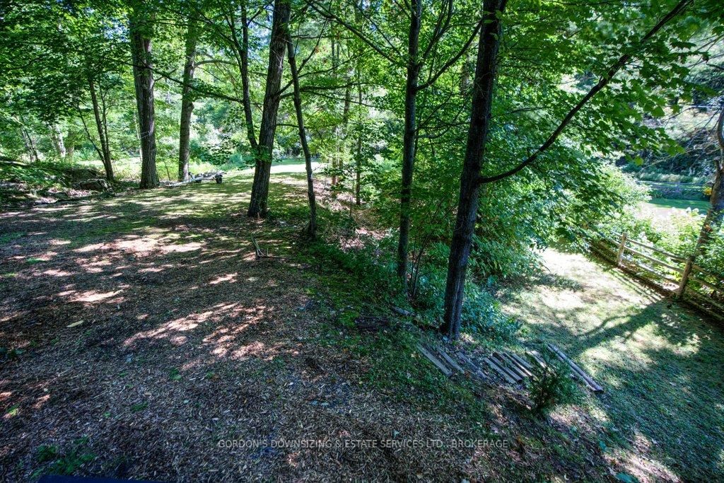 Listing Image 45