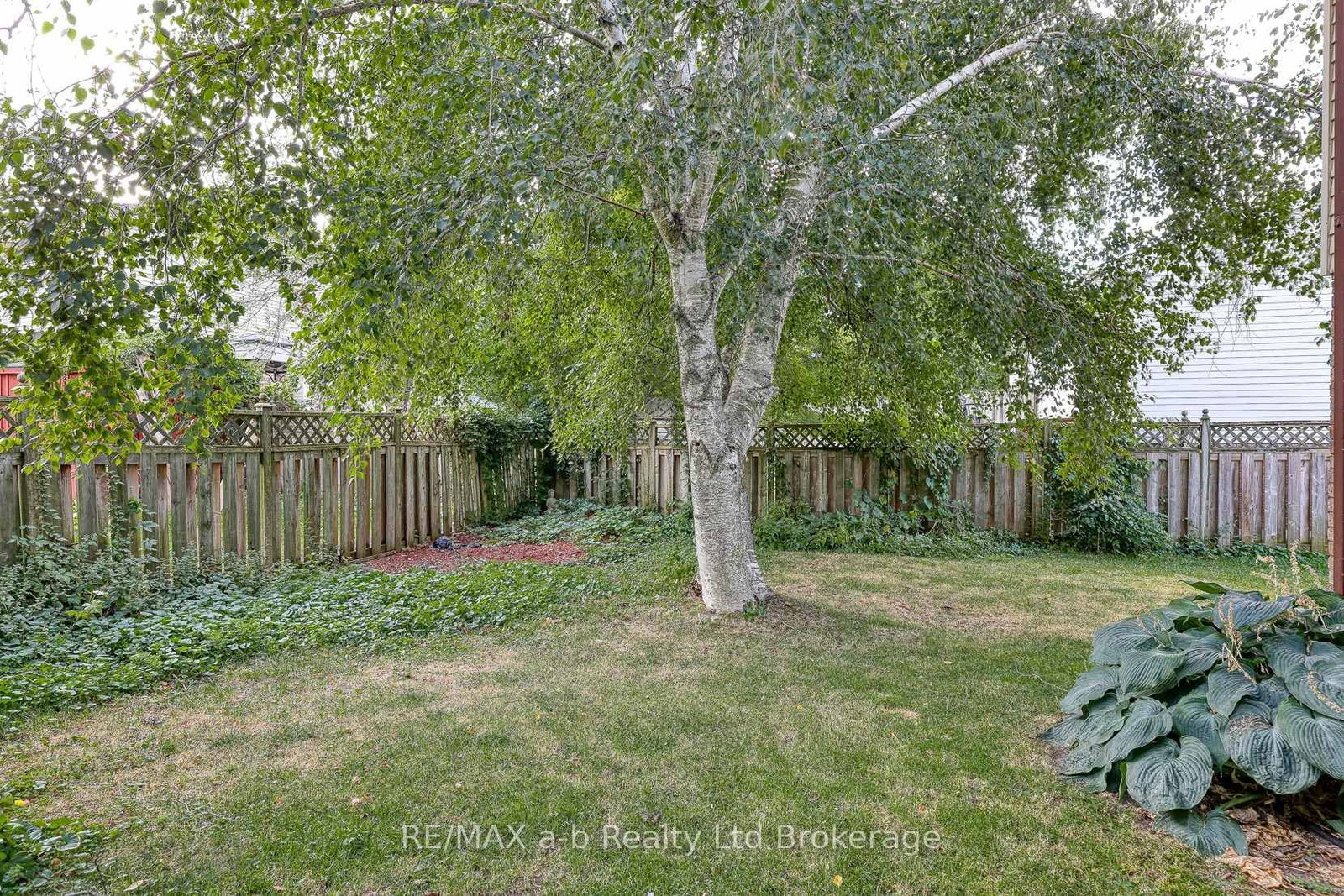 Listing Image 4
