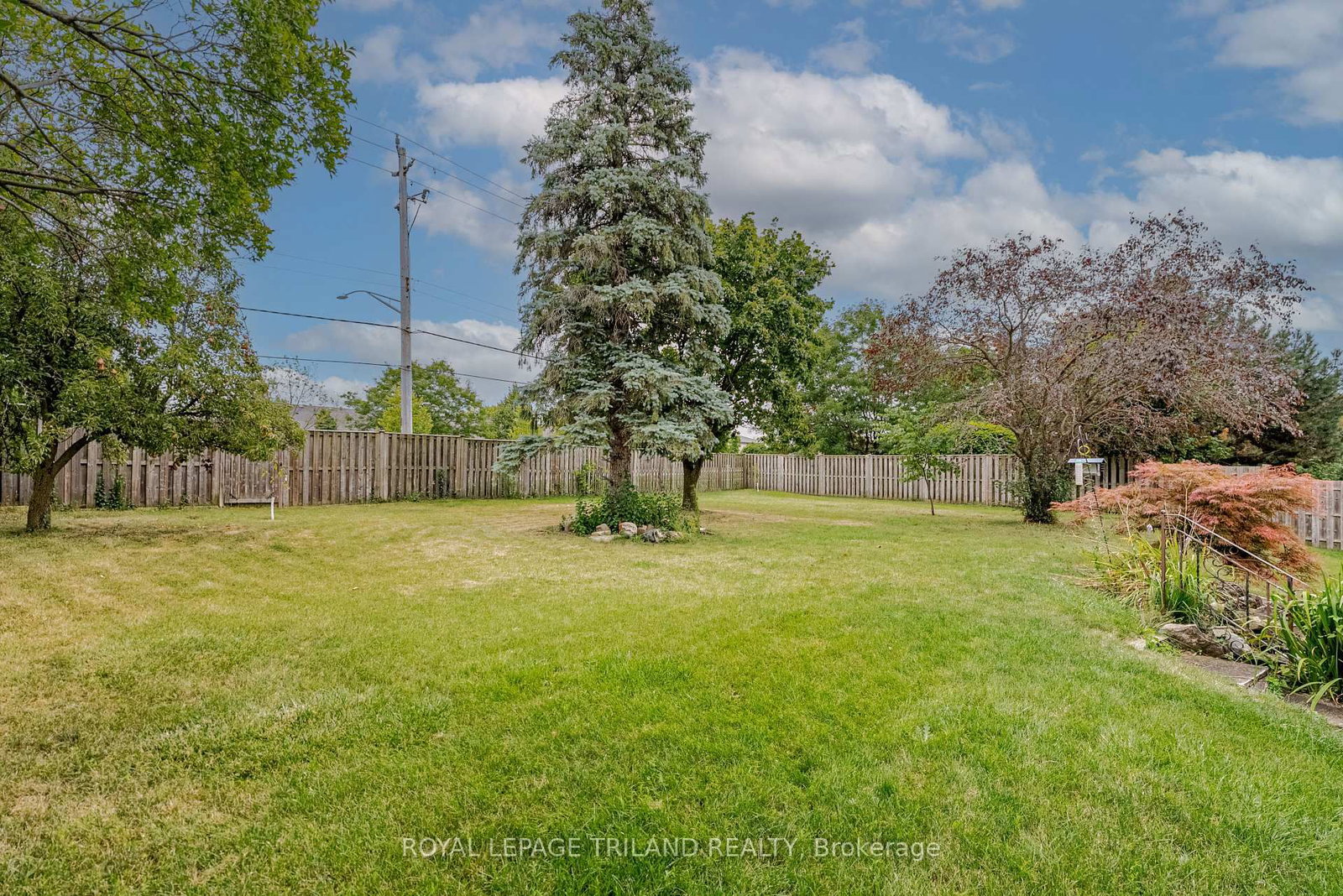 Listing Image 43