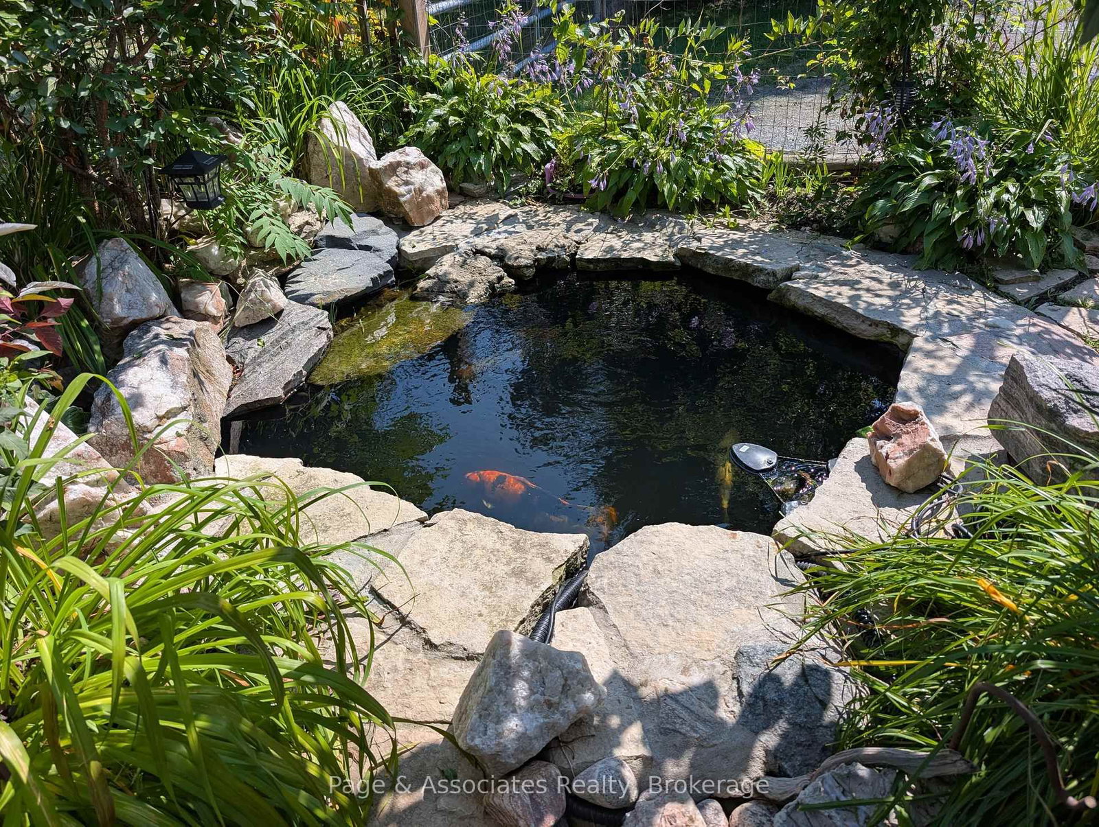 Listing Image 11