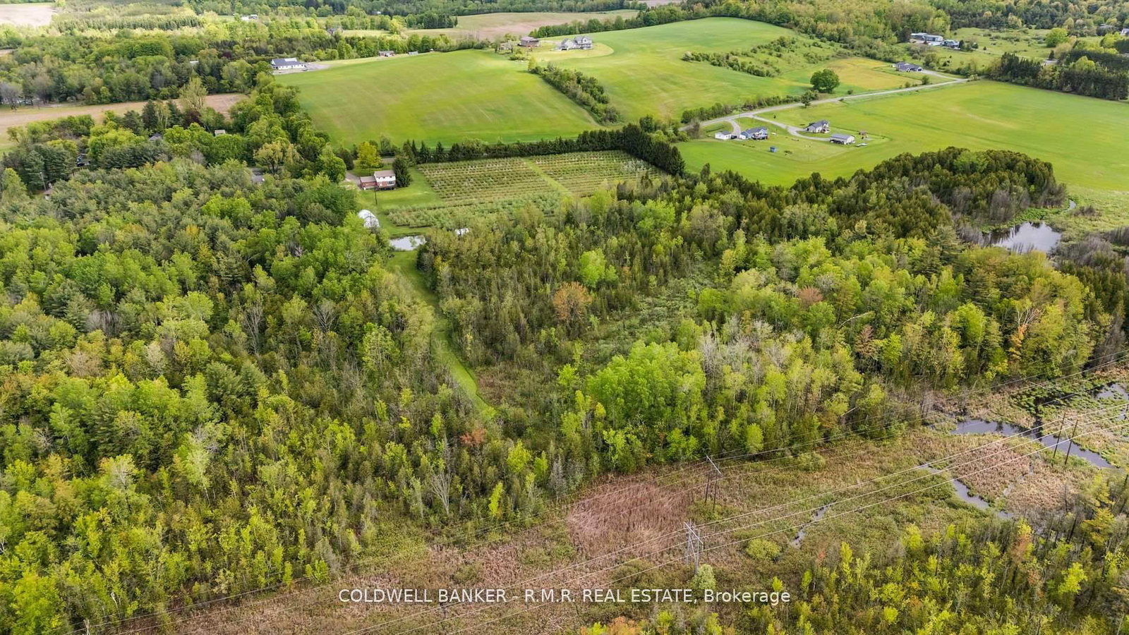 Listing Image 45