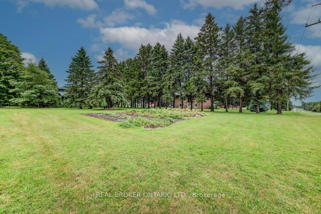 Listing Image 38