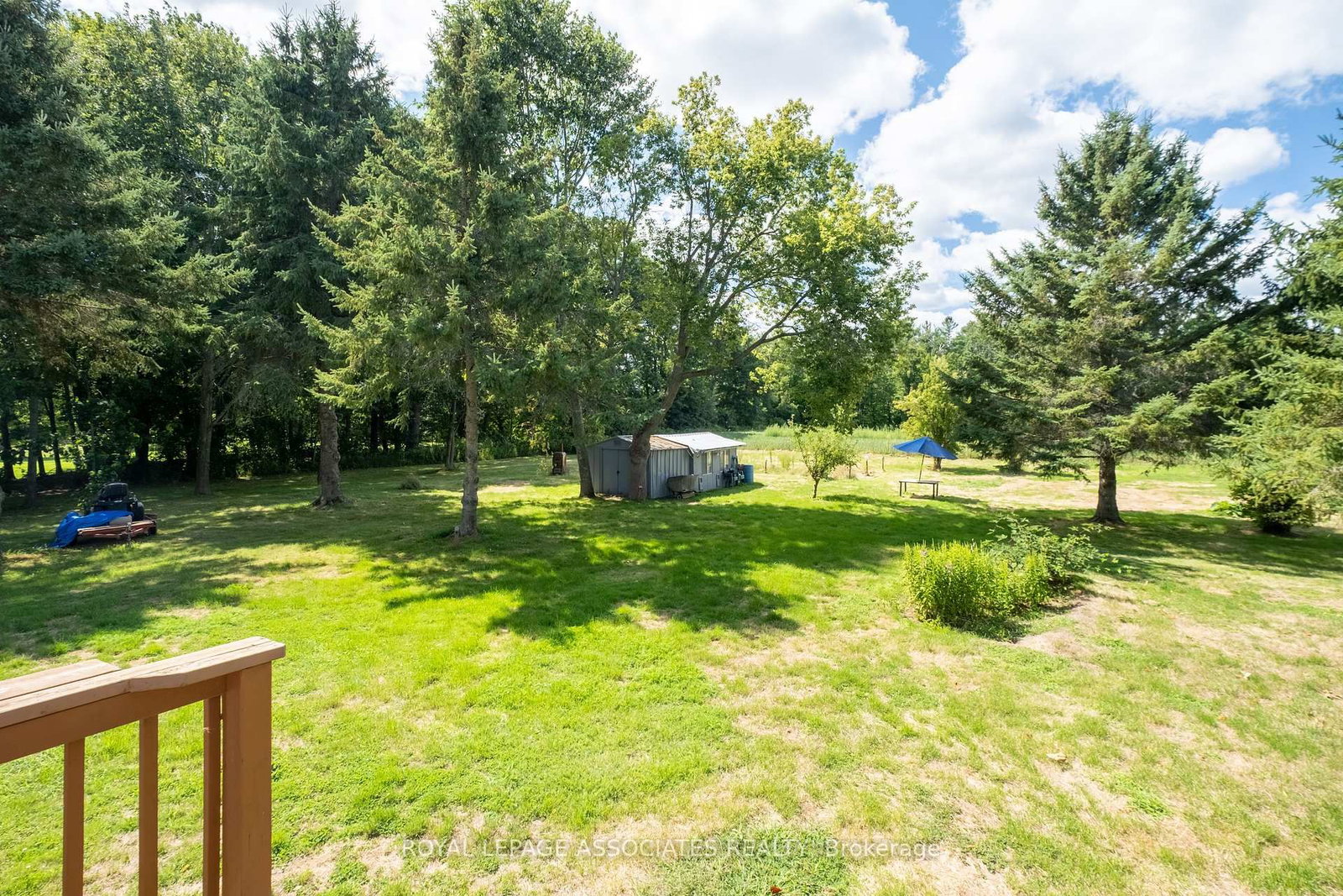 Listing Image 46
