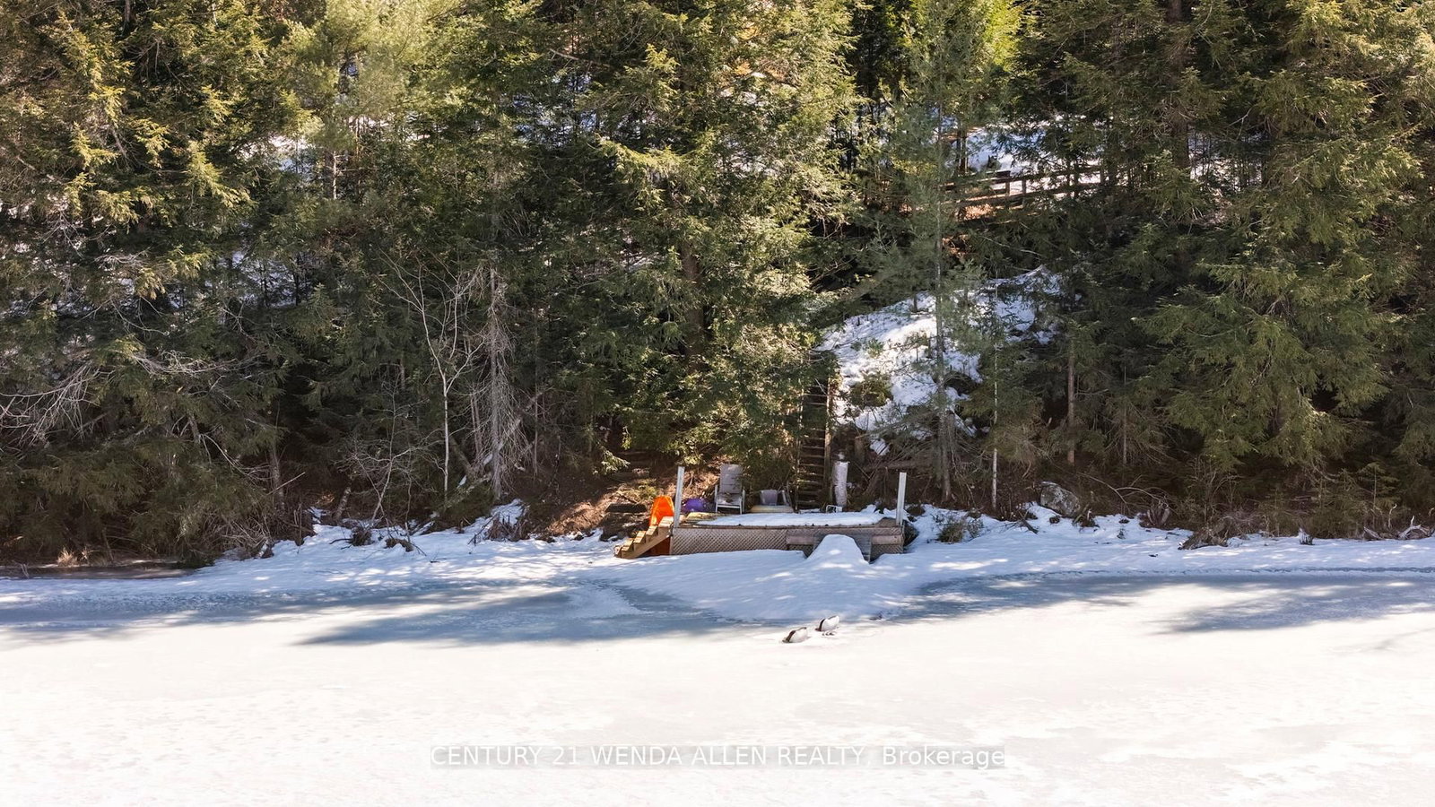Listing Image 48