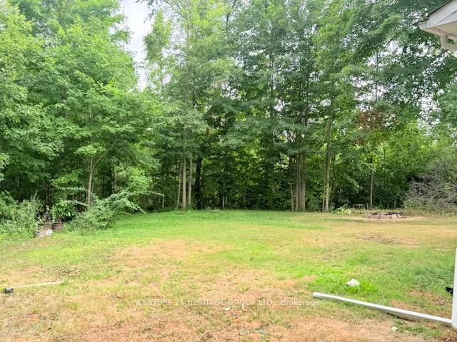 Listing Image 17