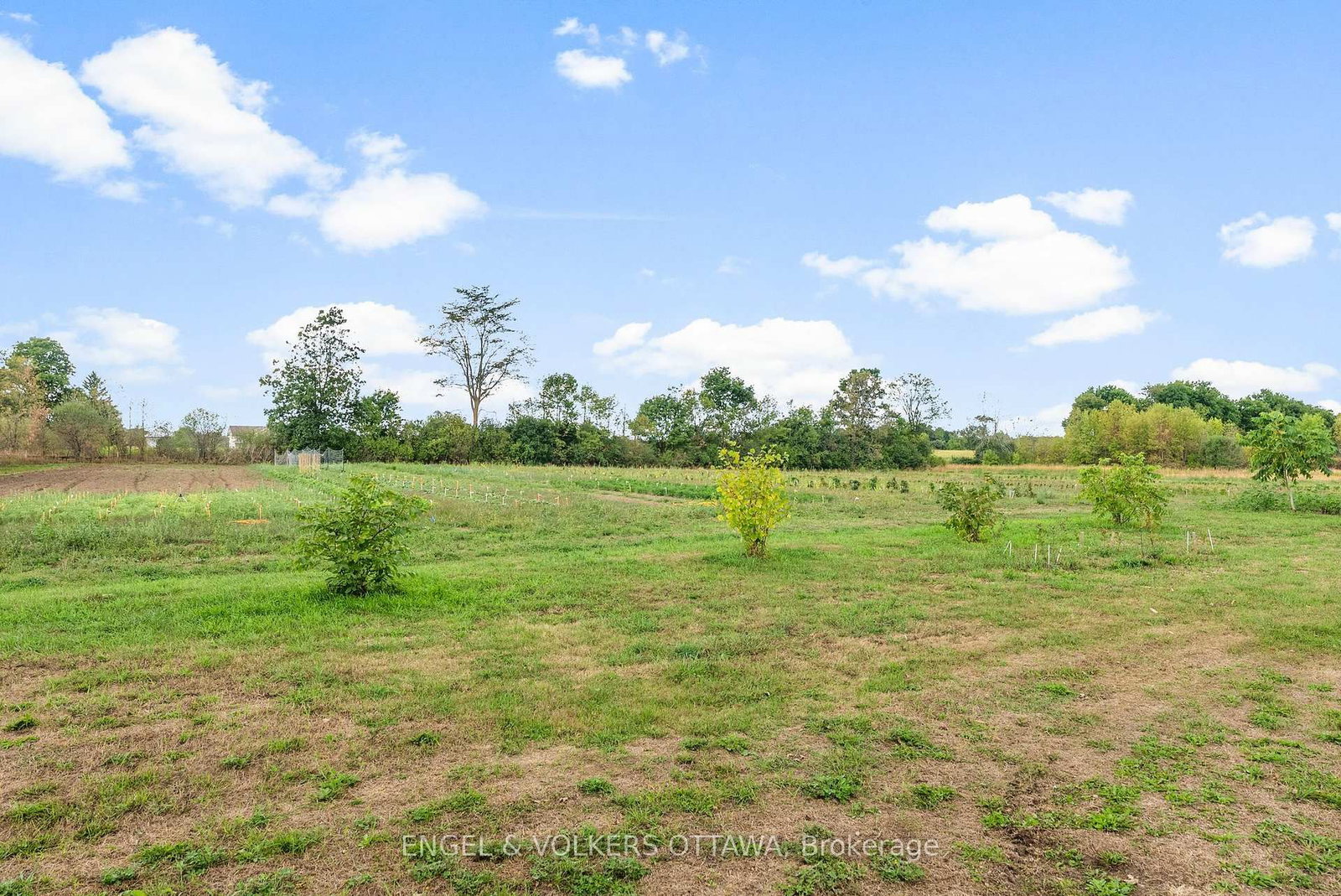 Listing Image 36