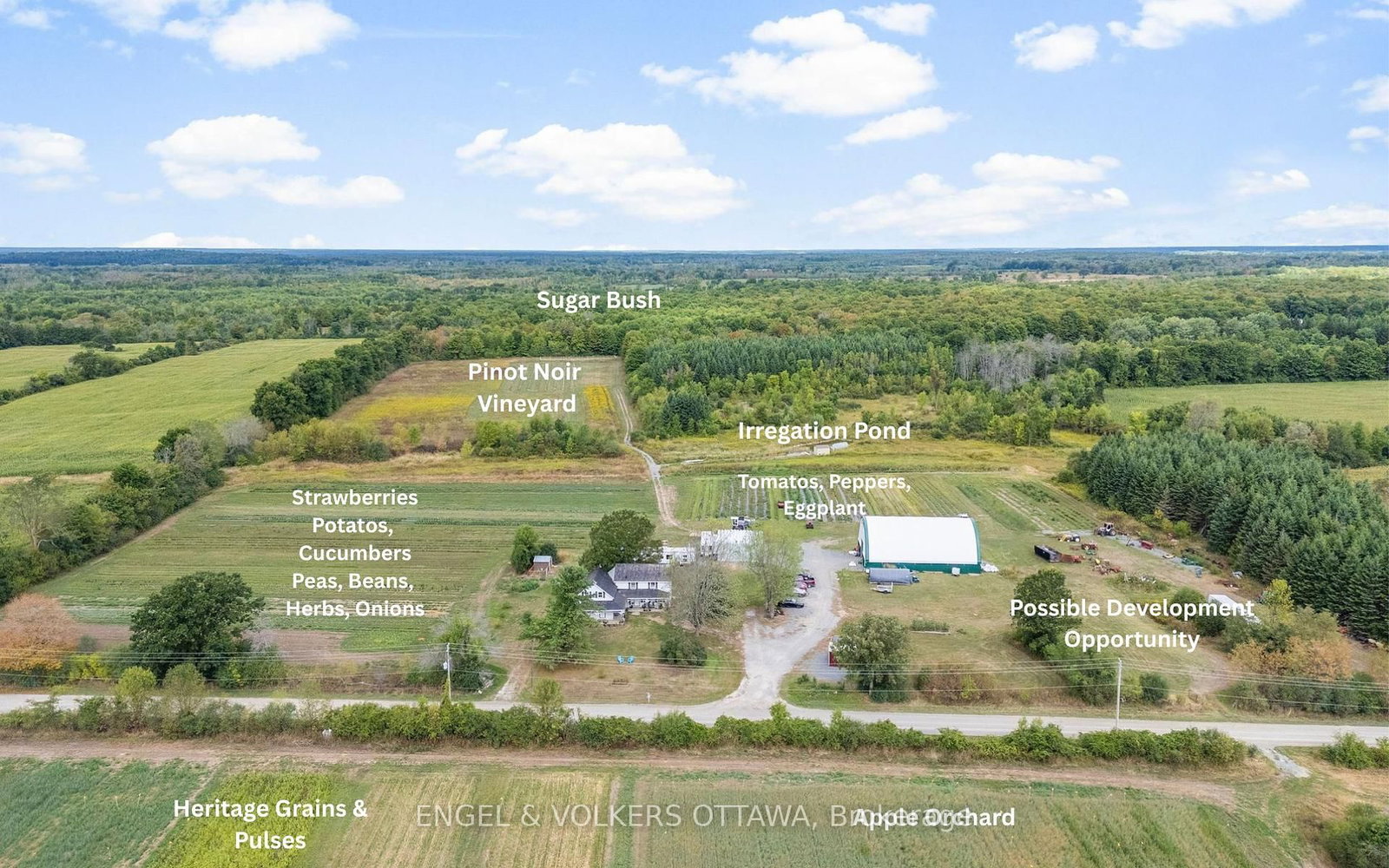 Listing Image 5
