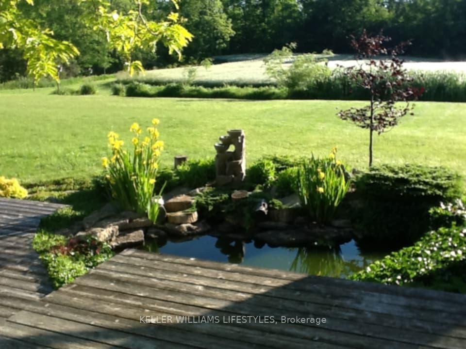 Listing Image 31