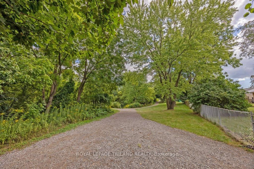 Listing Image 45