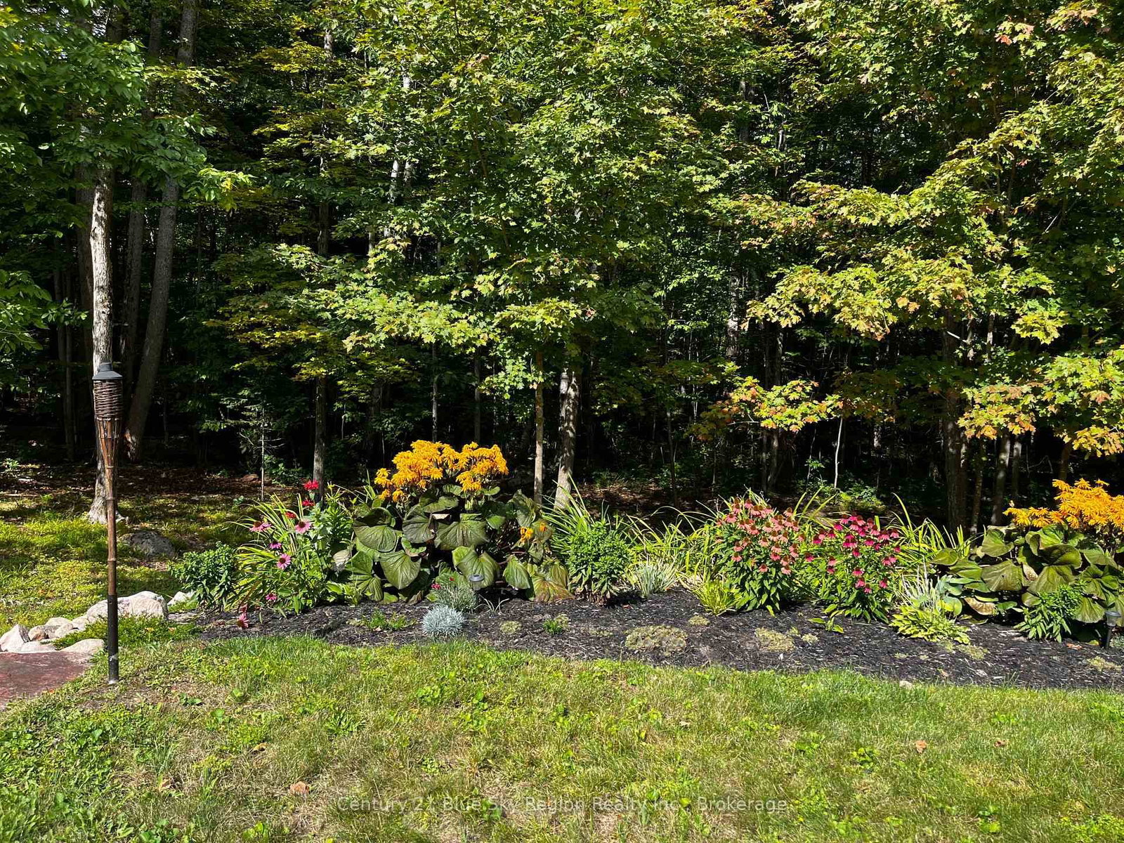 Listing Image 36
