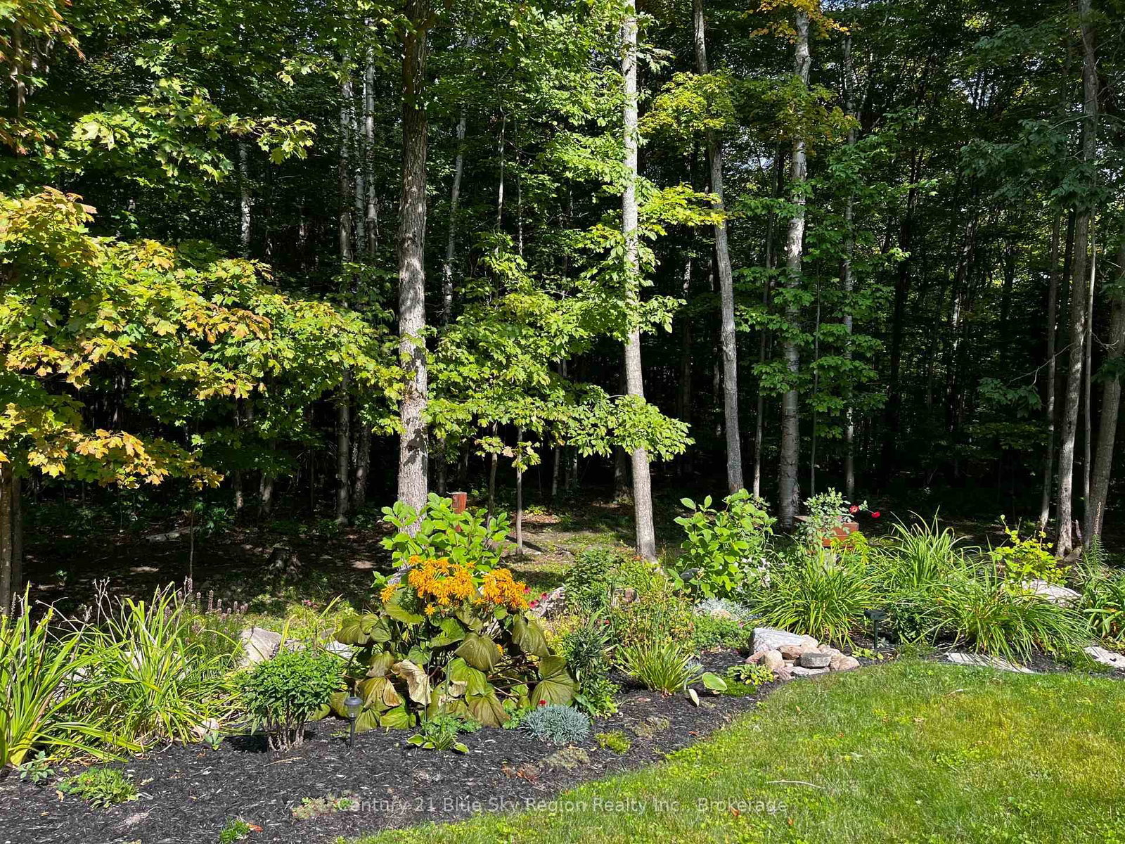 Listing Image 37