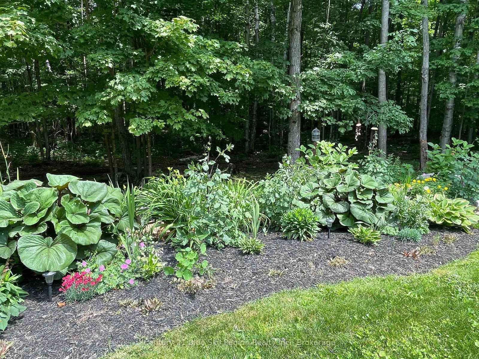 Listing Image 38