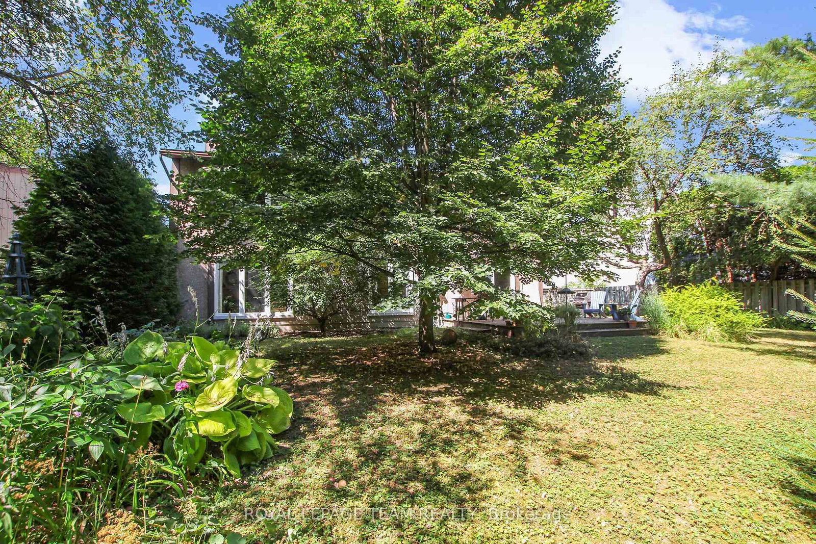 Listing Image 48