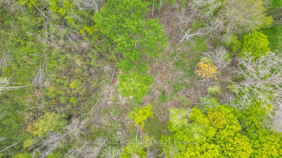 Vacant Land sold at 1465 Phillipston Road, Belleville, Ontario, K0K 2Y0 - Centre Hastings - MLS: X12376794