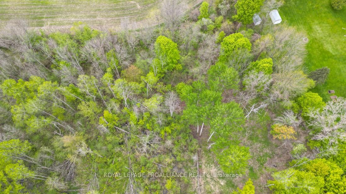 Vacant Land sold at 1465 Phillipston Road, Belleville, Ontario, K0K 2Y0 - Centre Hastings - MLS: X12376794