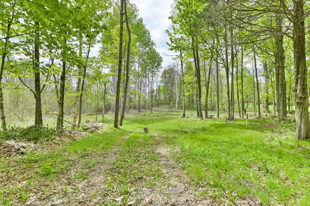 Vacant Land sold at 1465 Phillipston Road, Belleville, Ontario, K0K 2Y0 - Centre Hastings - MLS: X12376794