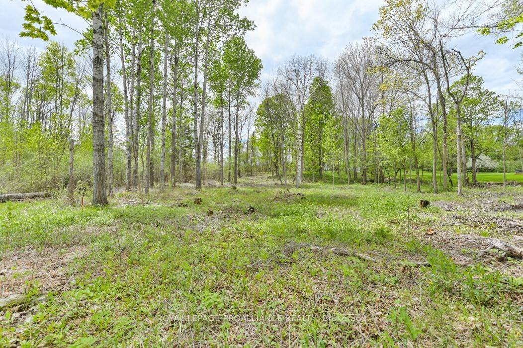 Vacant Land sold at 1465 Phillipston Road, Belleville, Ontario, K0K 2Y0 - Centre Hastings - MLS: X12376794