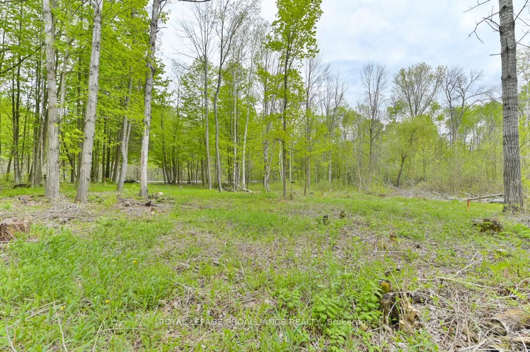 Vacant Land sold at 1465 Phillipston Road, Belleville, Ontario, K0K 2Y0 - Centre Hastings - MLS: X12376794