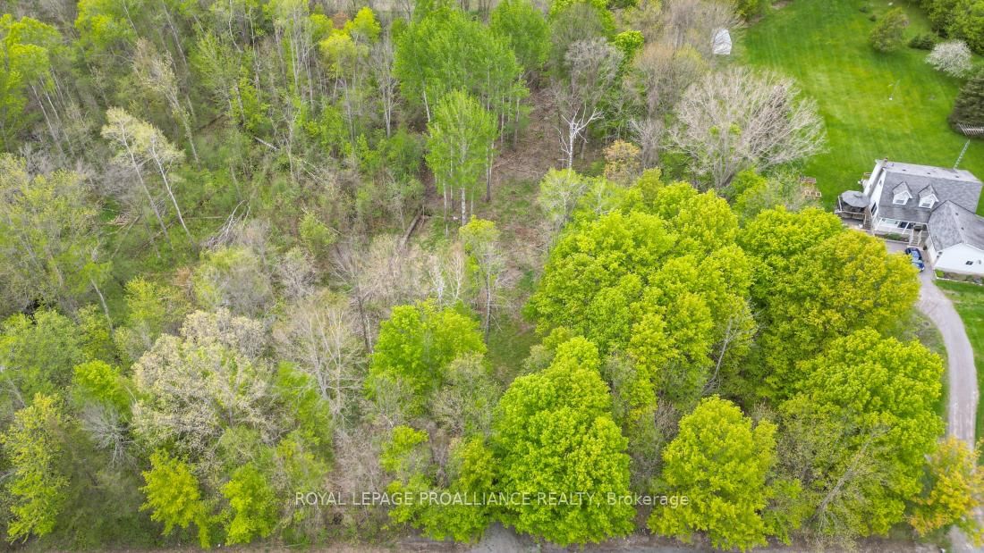 Vacant Land sold at 1465 Phillipston Road, Belleville, Ontario, K0K 2Y0 - Centre Hastings - MLS: X12376794
