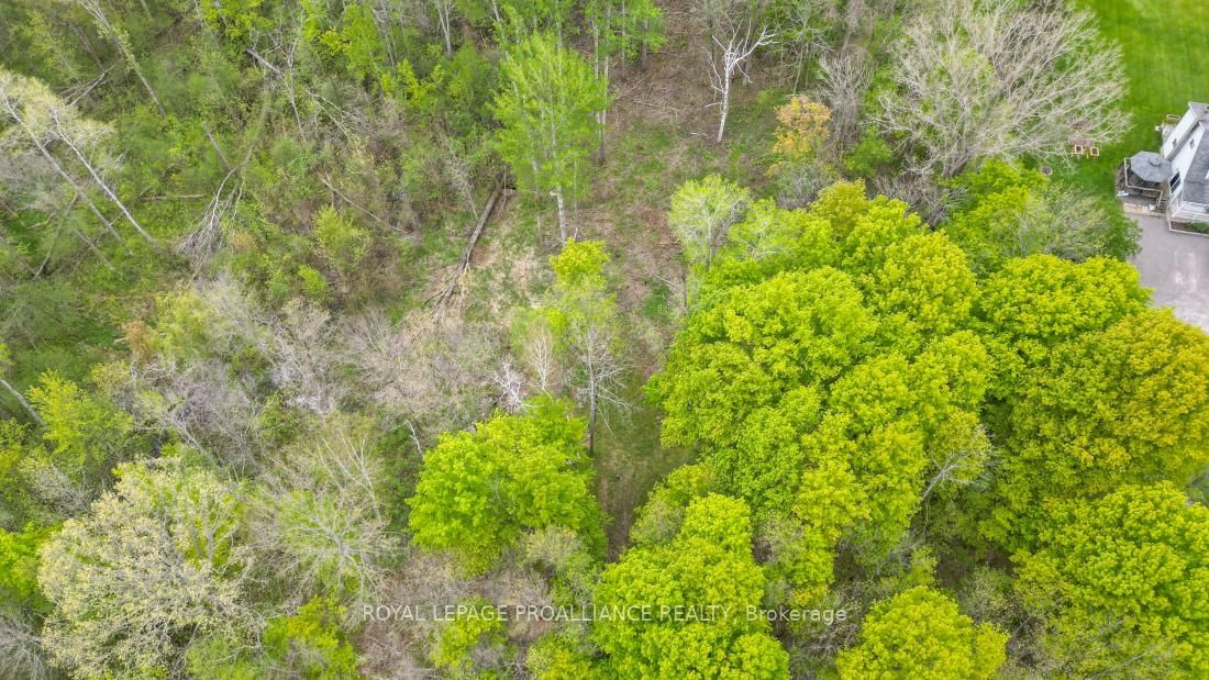 Vacant Land sold at 1465 Phillipston Road, Belleville, Ontario, K0K 2Y0 - Centre Hastings - MLS: X12376794