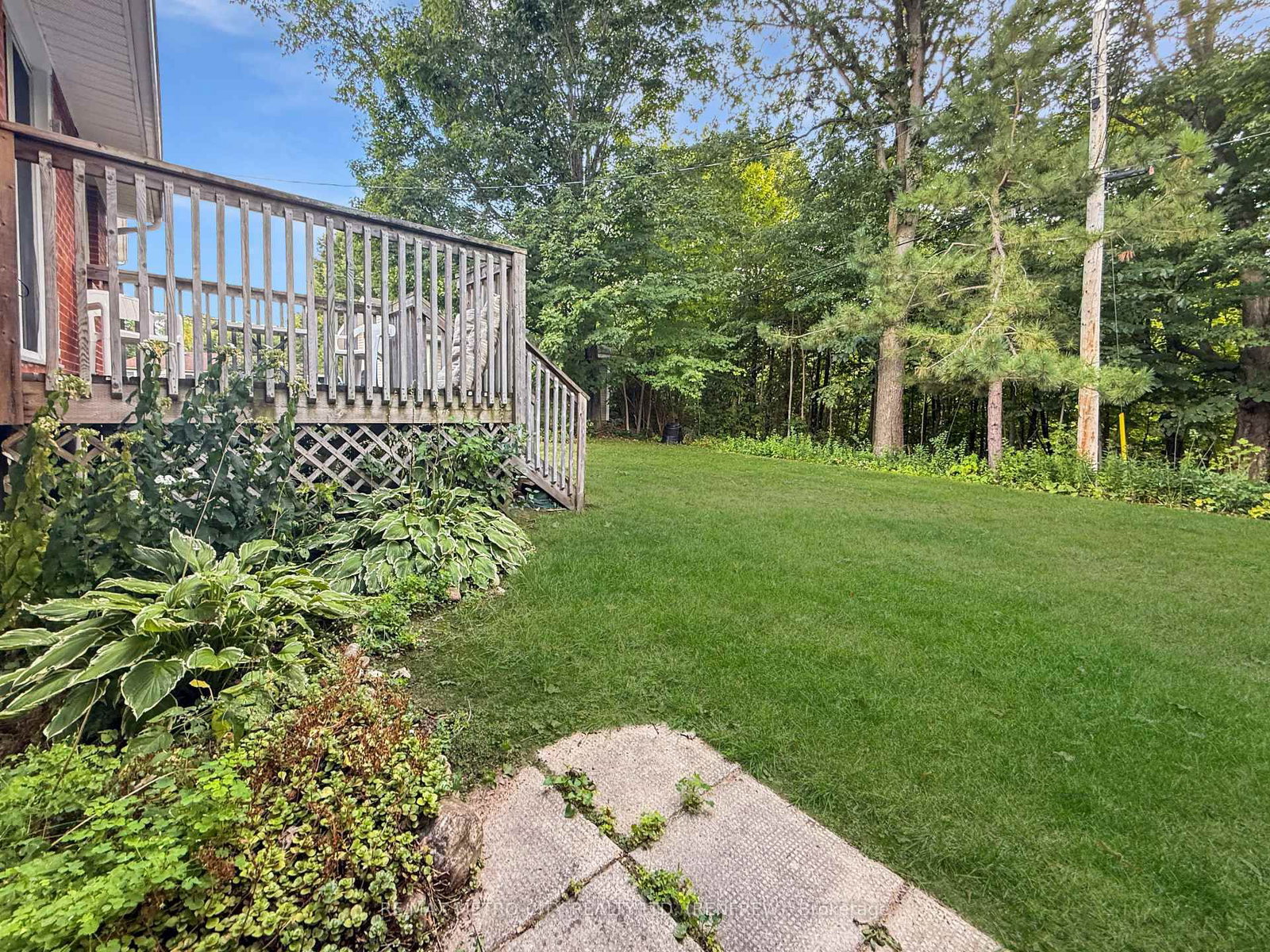 Listing Image 19