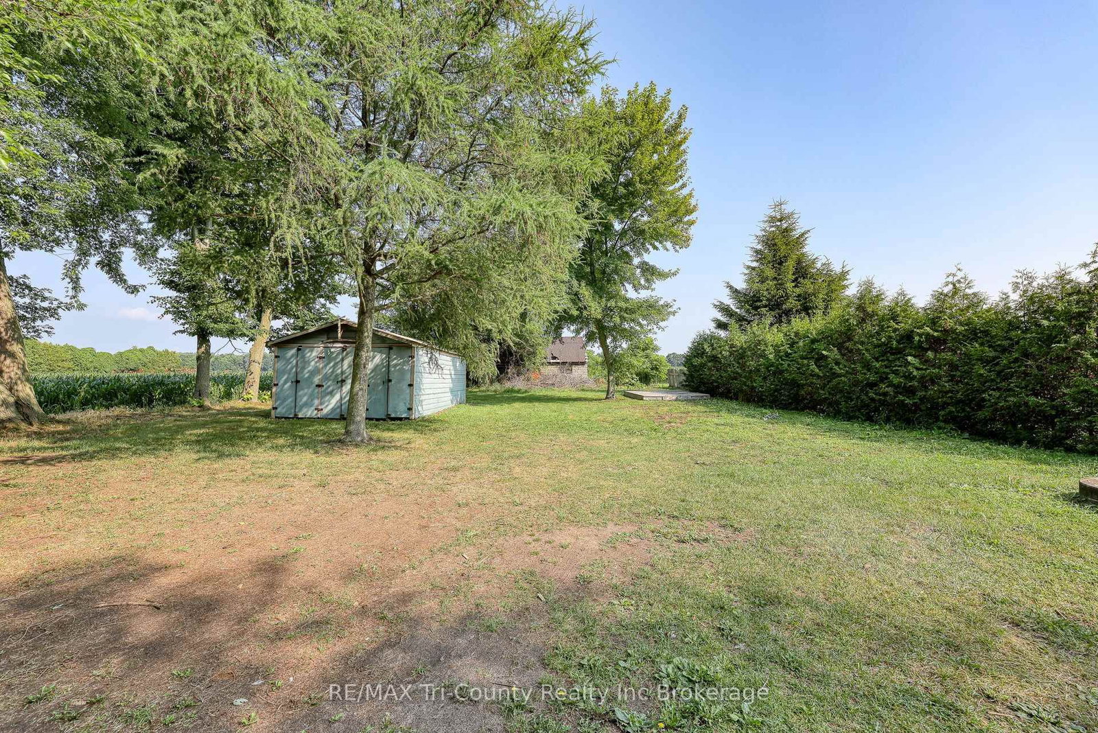Listing Image 4