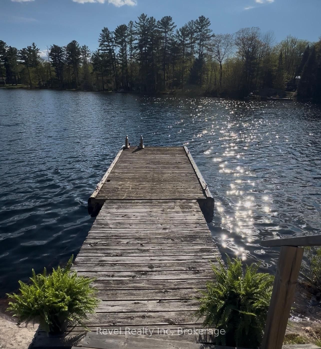 Listing Image 28