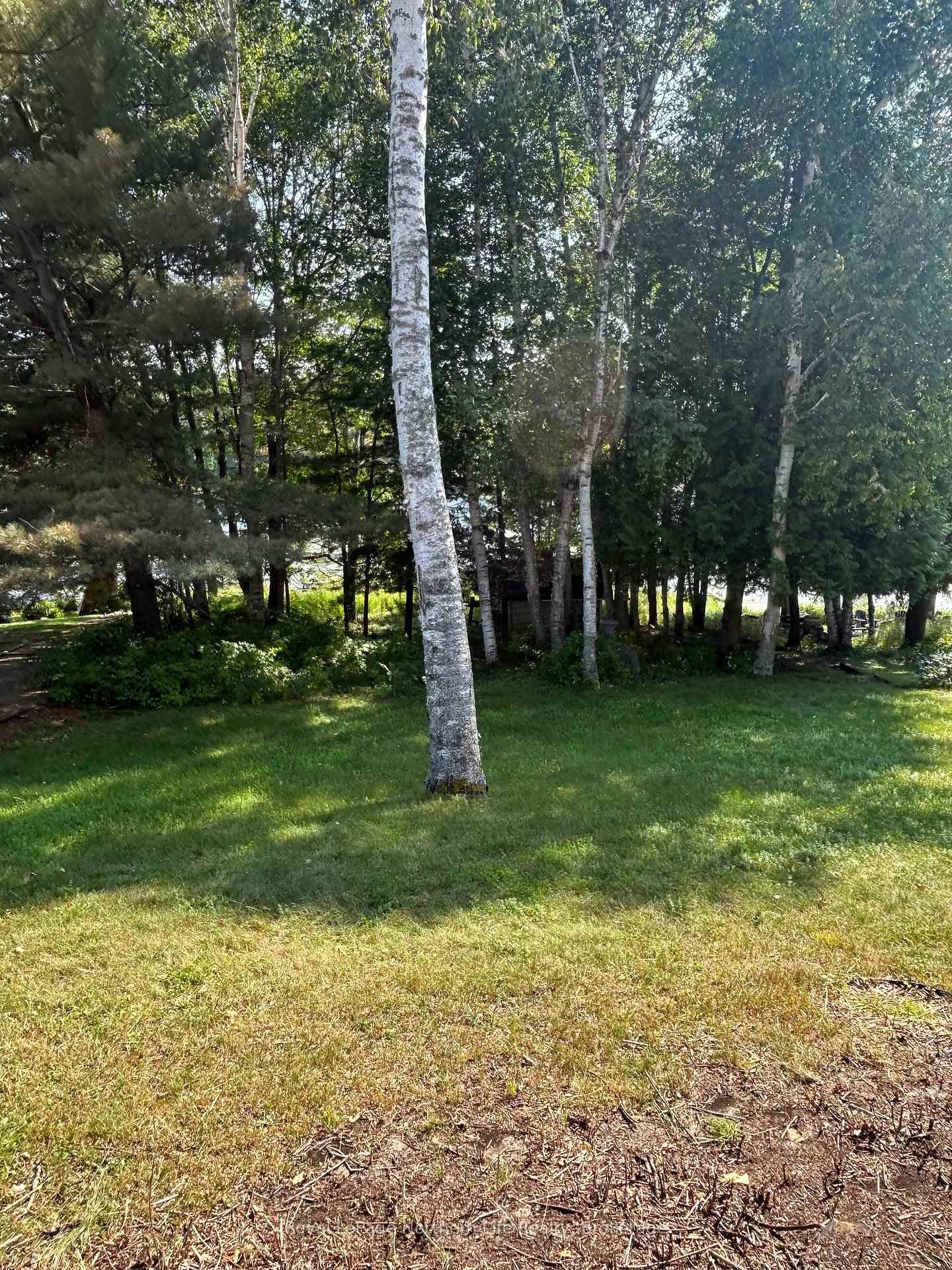 Listing Image 33