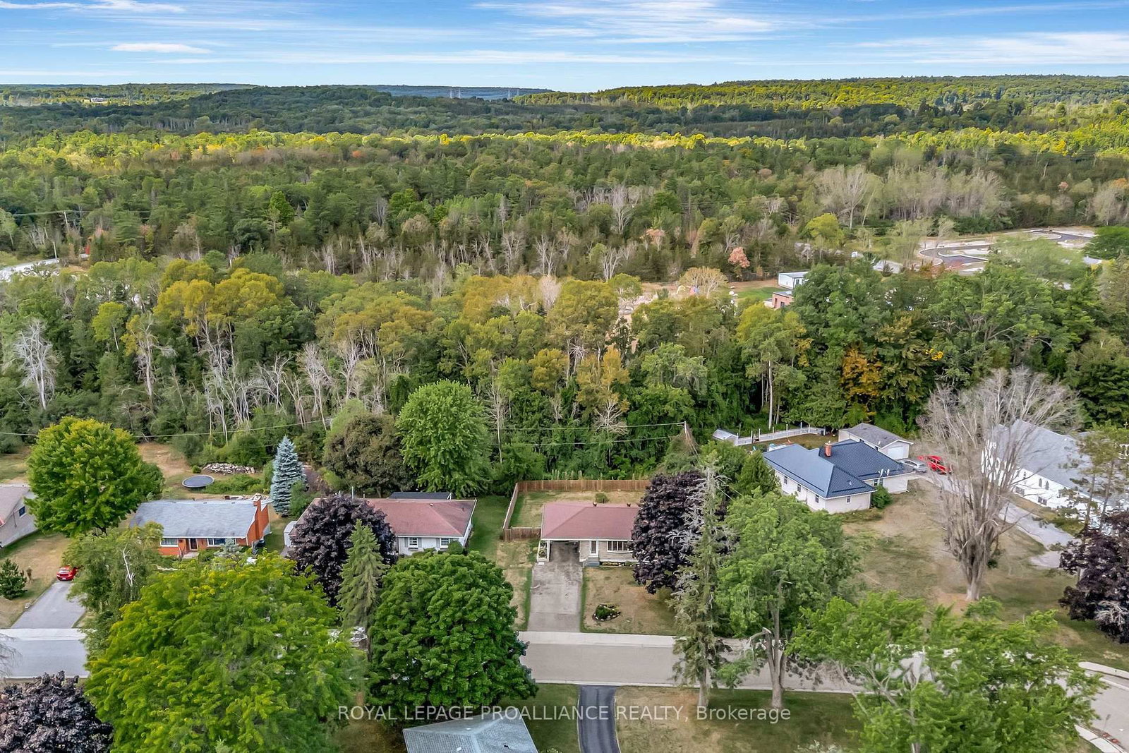 Listing Image 49