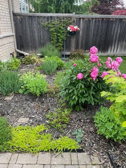 Listing Image 46