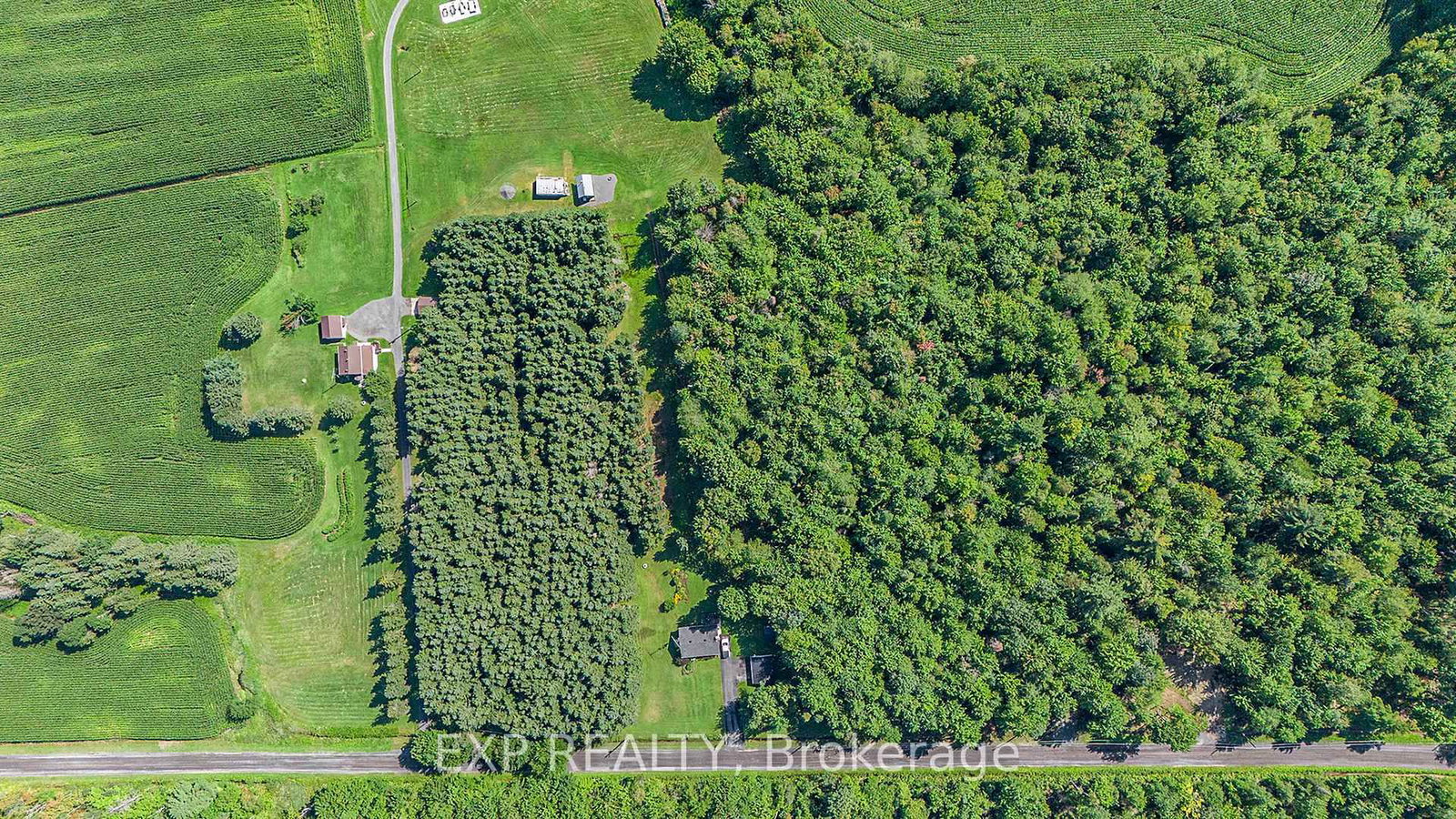 Listing Image 12