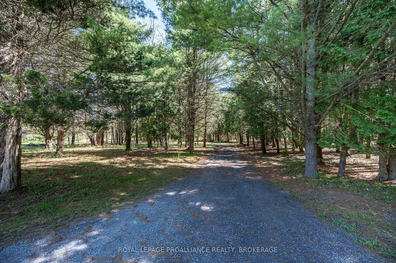 Listing Image 47
