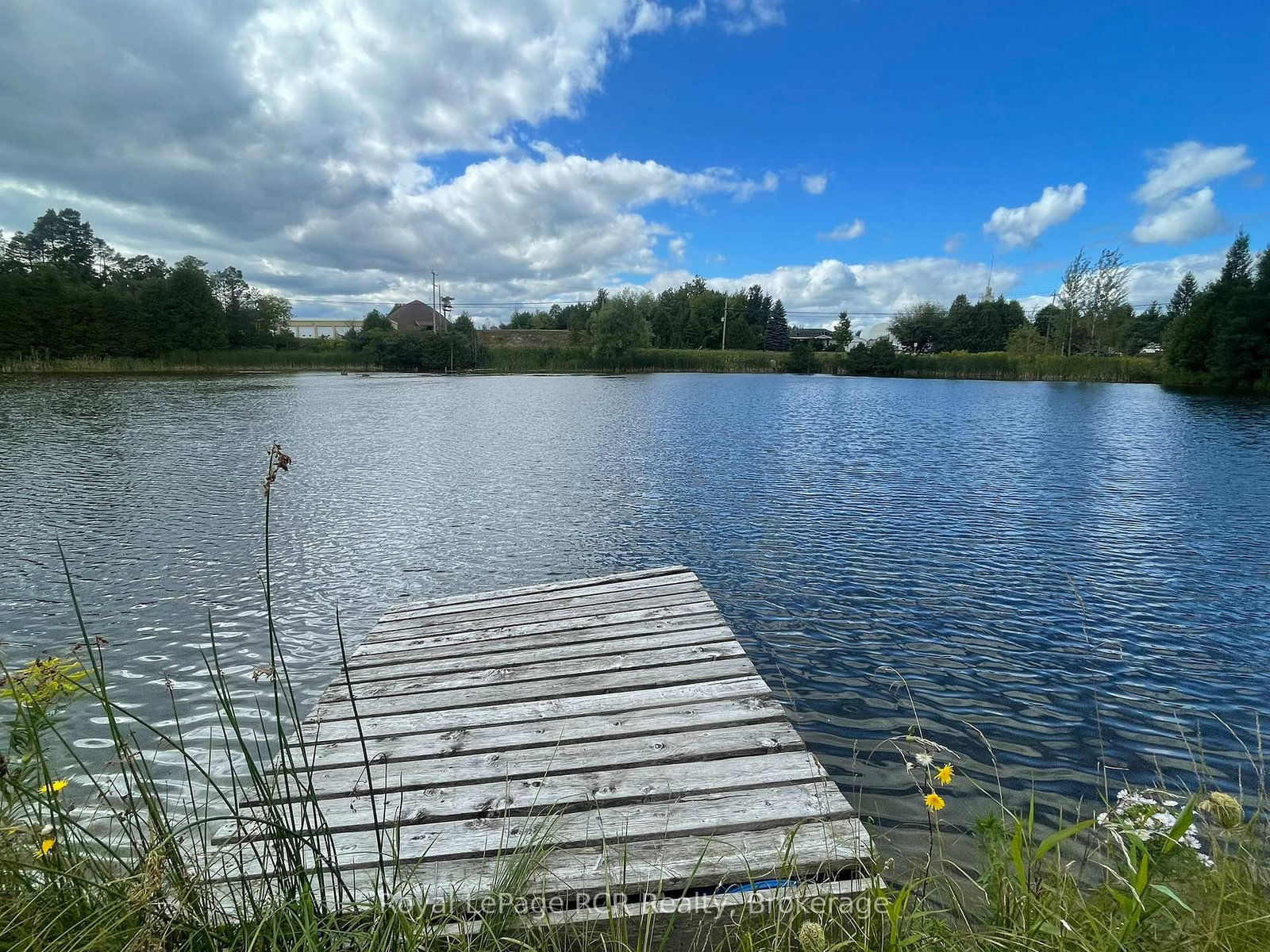 Listing Image 38