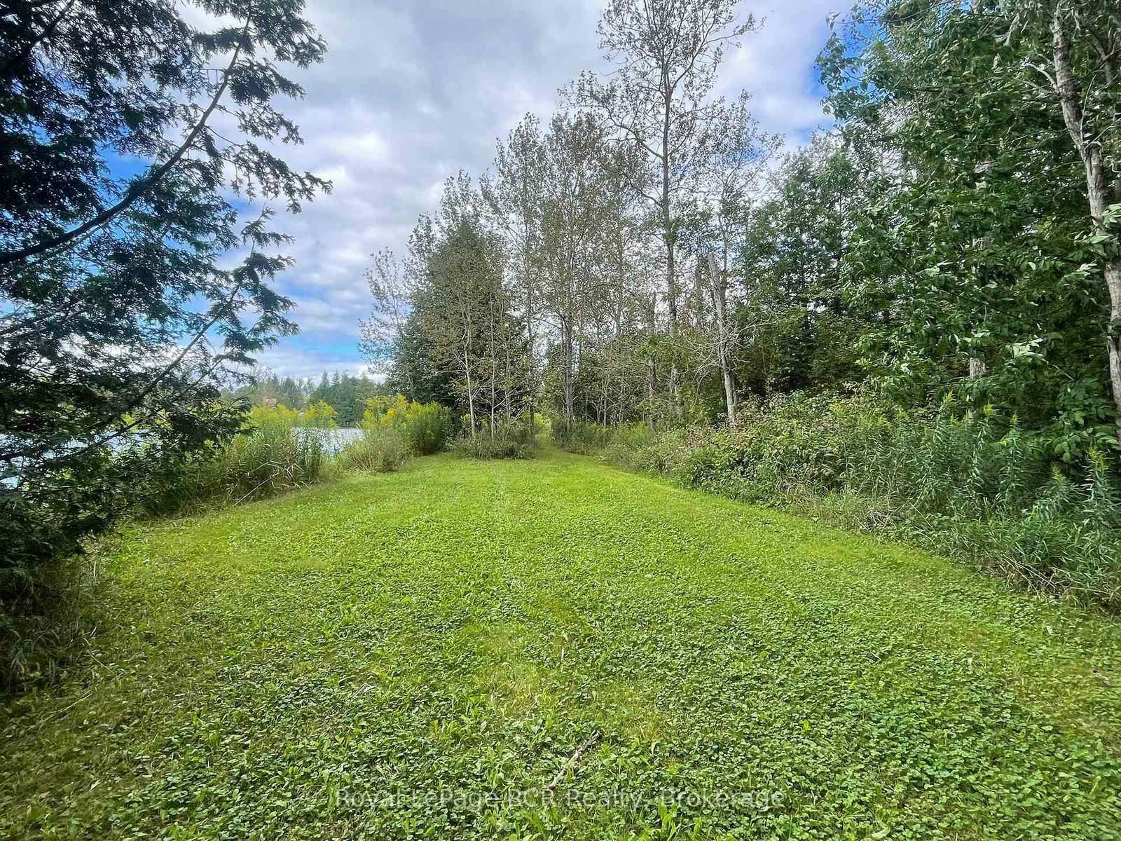 Listing Image 41
