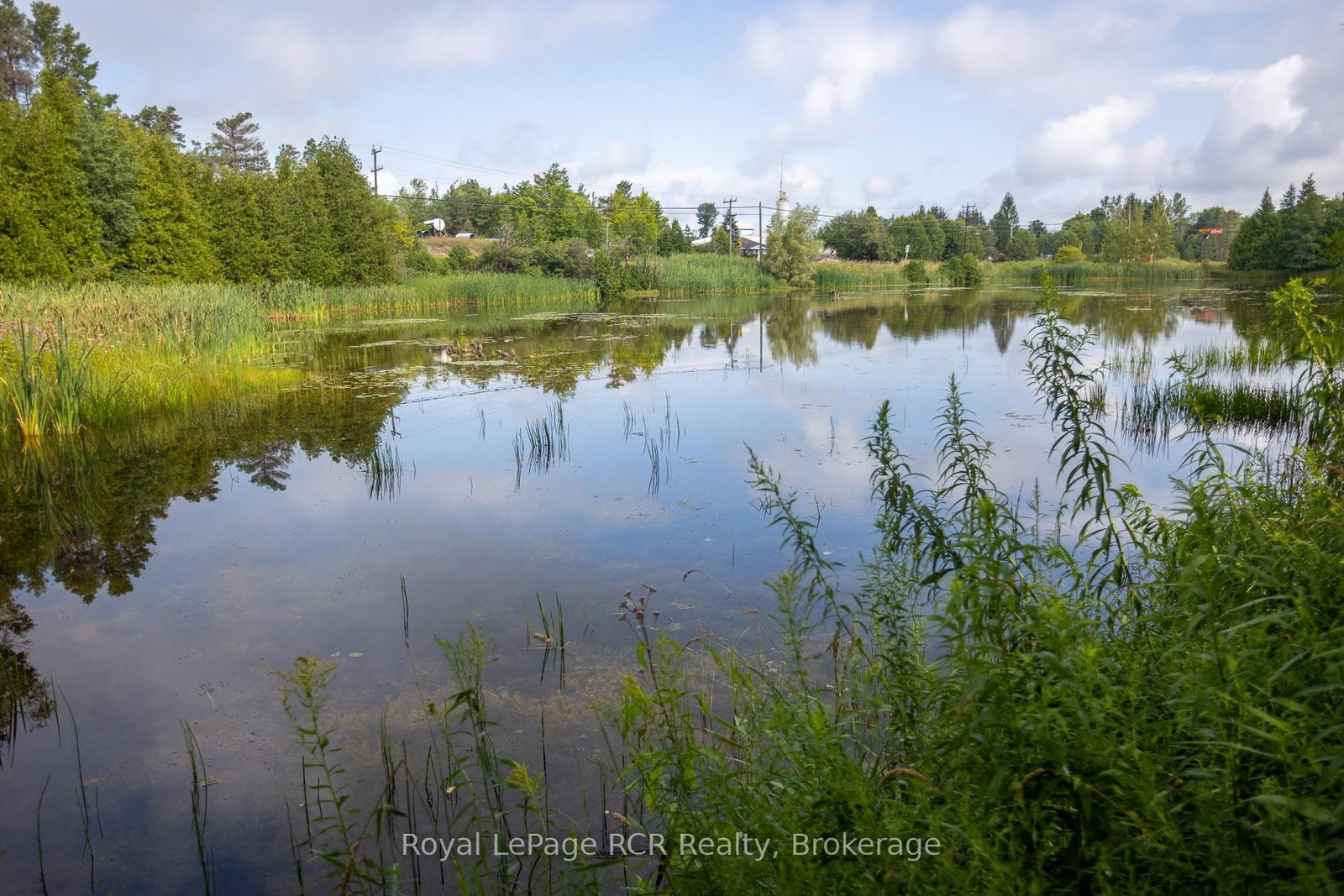 Listing Image 44