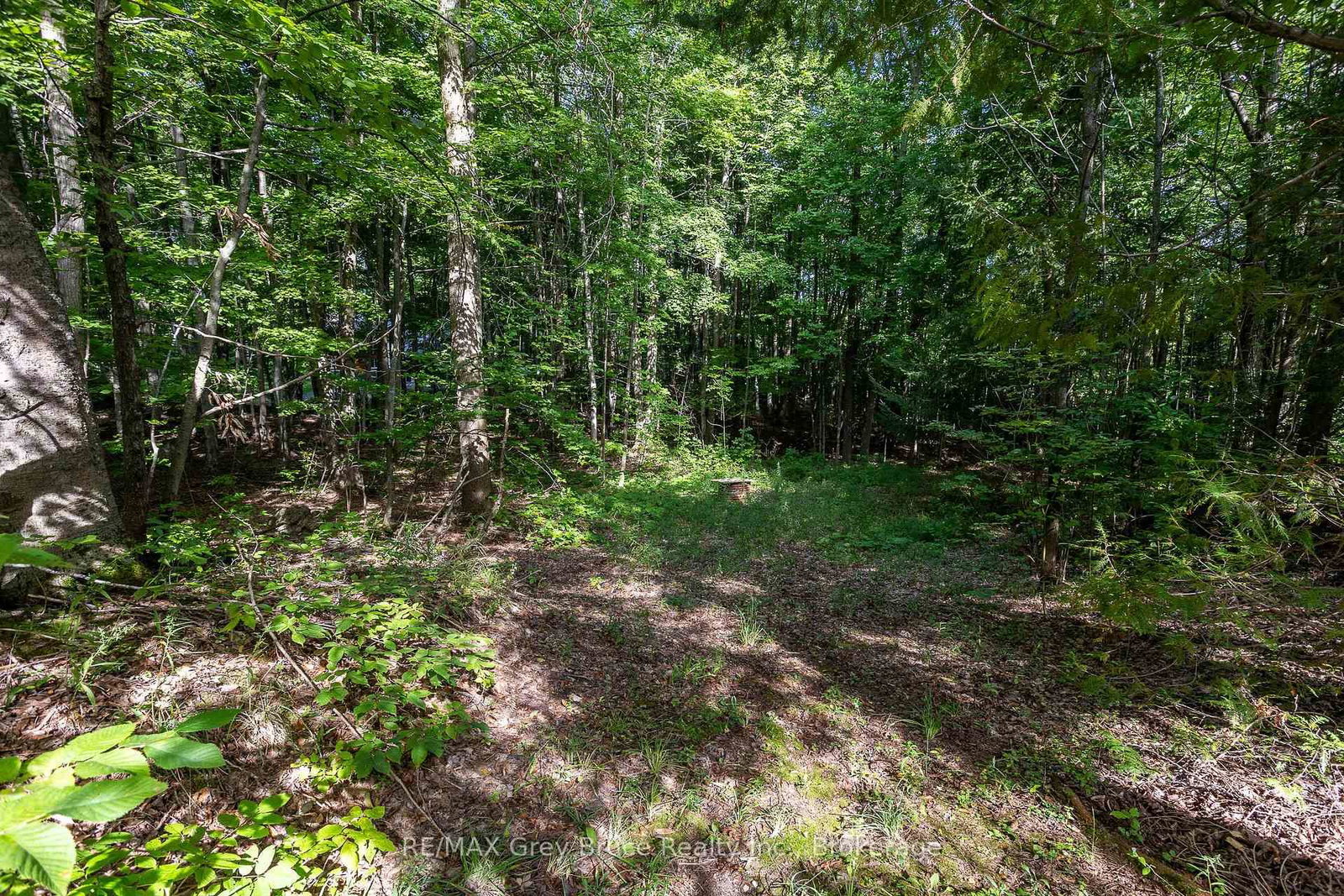 Listing Image 36