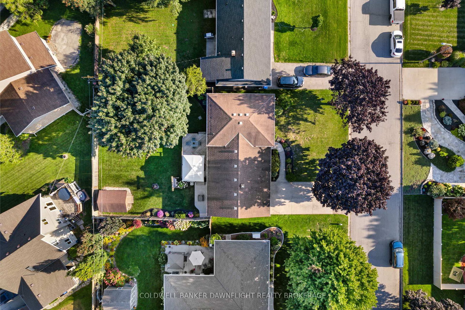 Listing Image 49