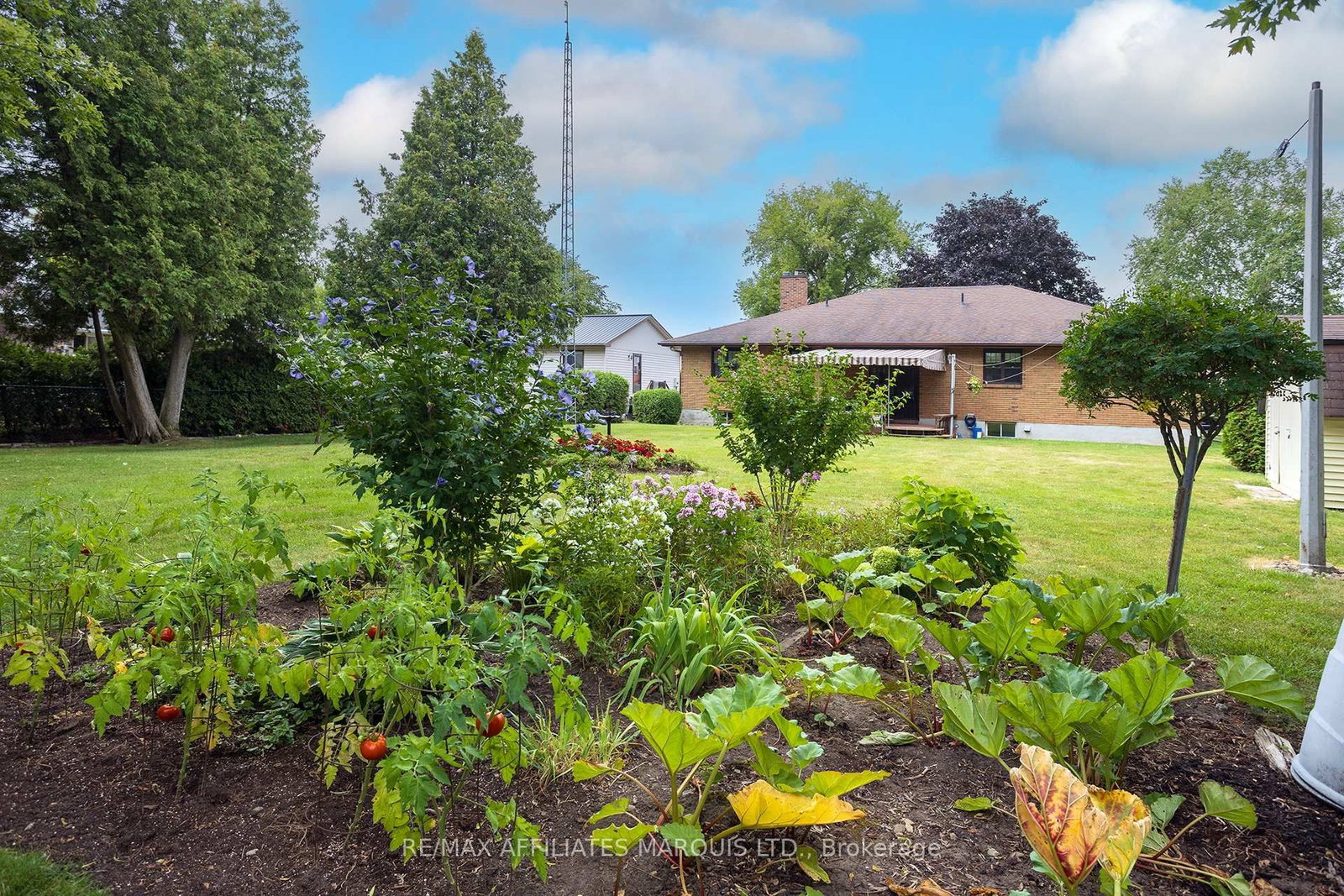 Listing Image 18