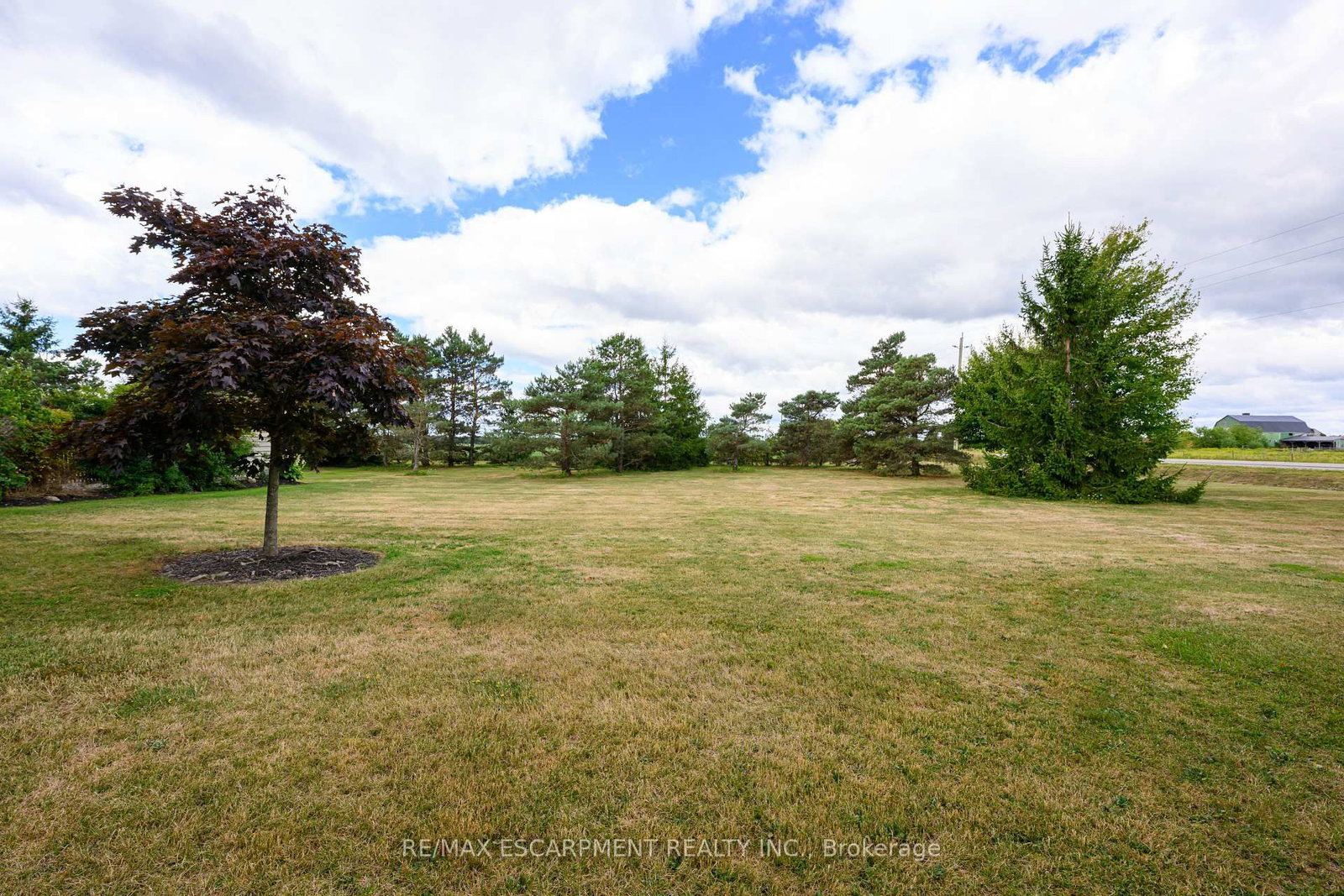 Listing Image 45