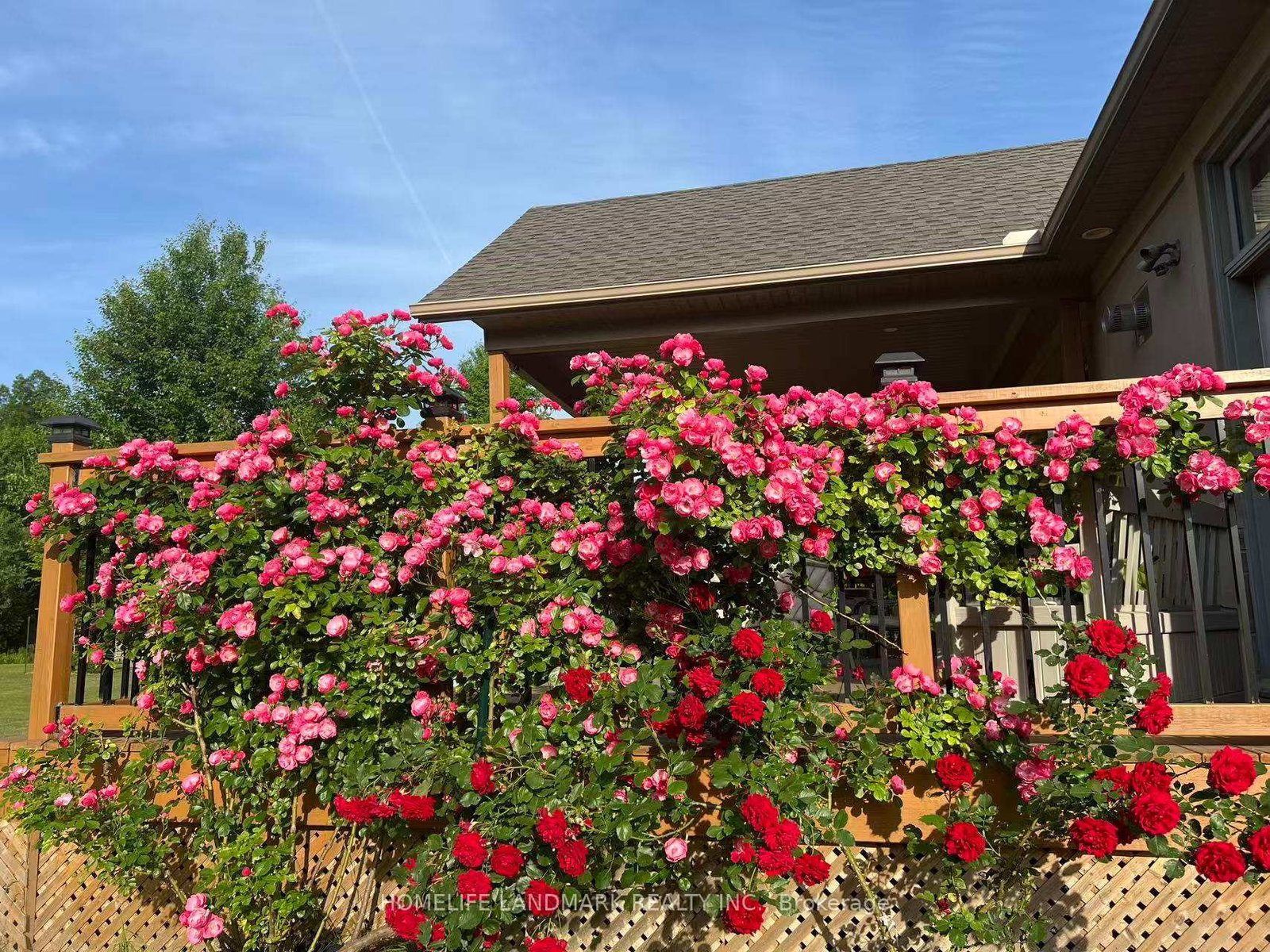 Listing Image 34