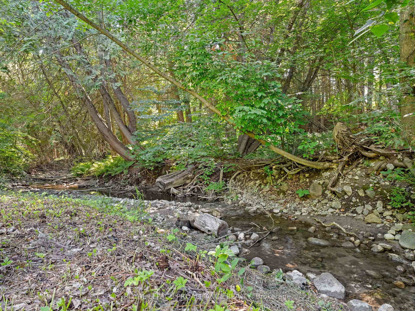 Listing Image 44