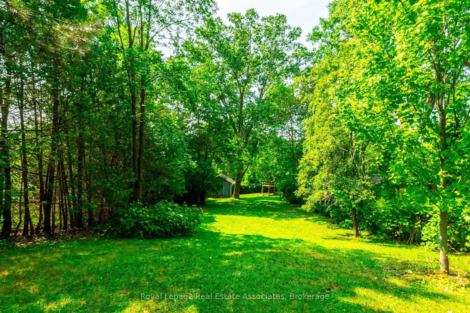 Listing Image 46