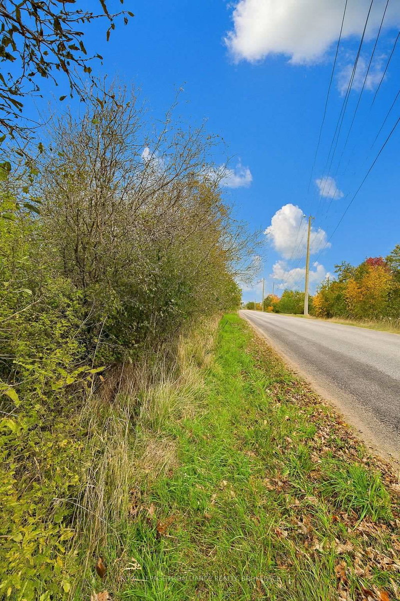 Lot 15 Martin Dr, Newburgh, K0K 2S0 | Image 2