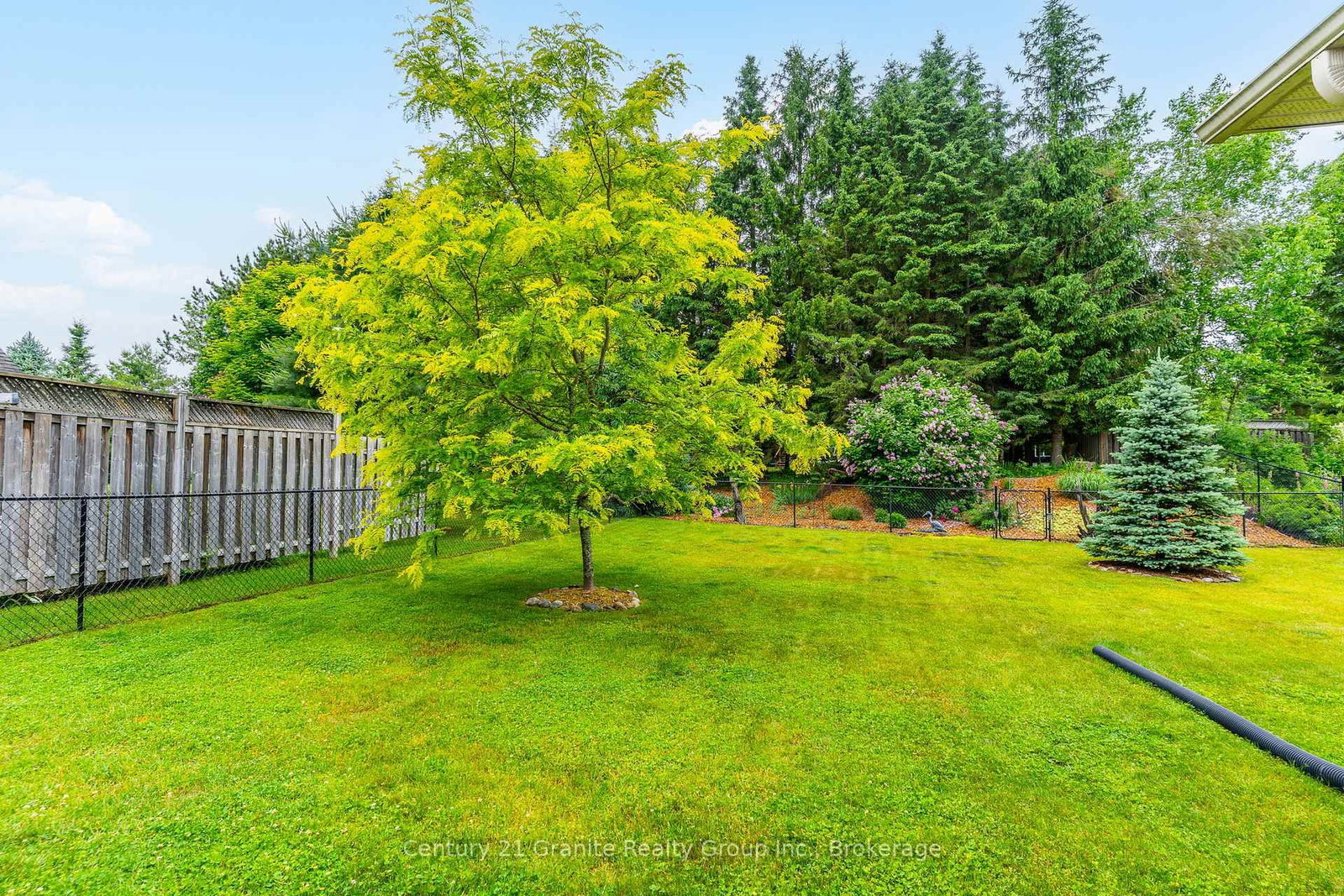 Listing Image 37