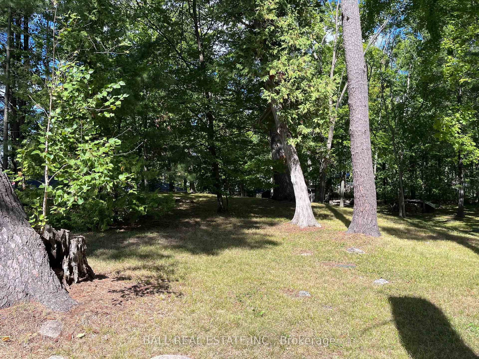 Listing Image 24