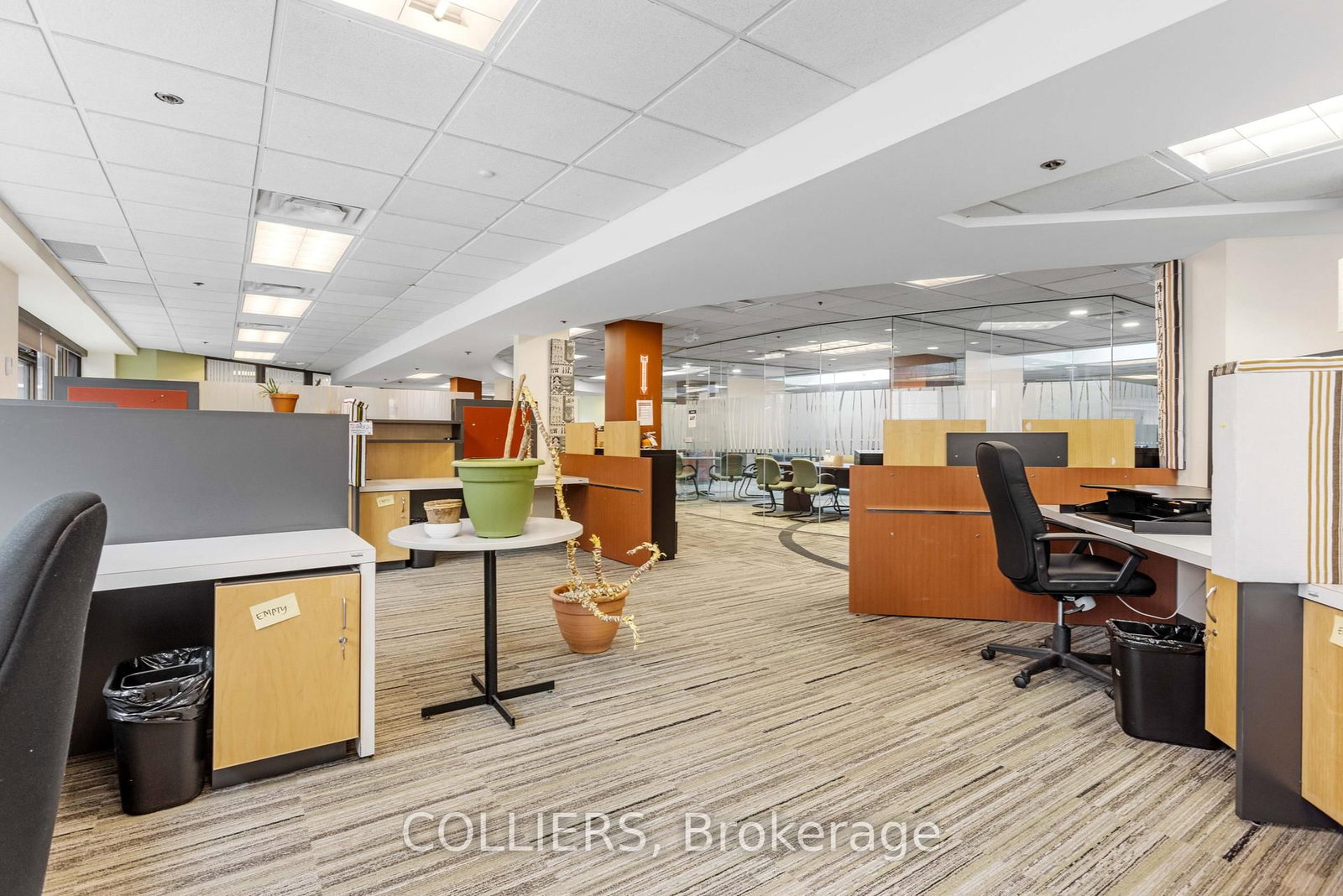 39 McArthur Avenue - Photo 10