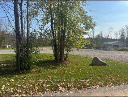LOT 46 River Rd, Kawartha Lakes, K0M 1N0 | Image 3