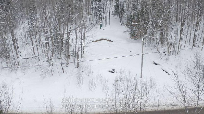 22382 Highway 35 Highway, Lake of Bays, P0A 1E0 | Image 2